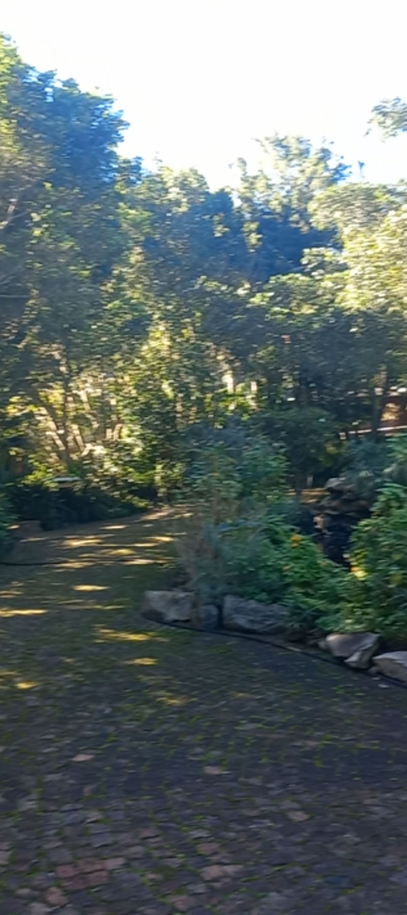 10 Bedroom Property for Sale in Hoekwil Western Cape